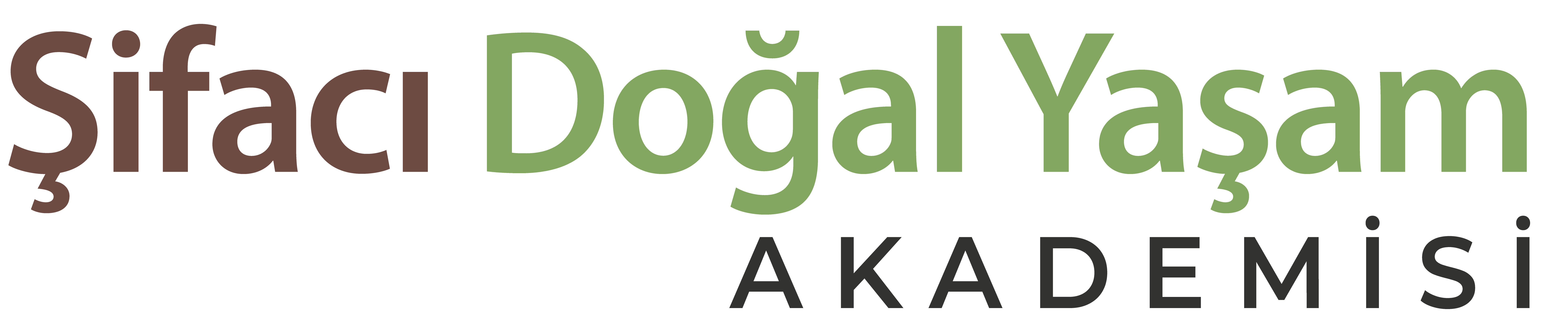 Şifacı Doğal Yaşam Akademisi-logo